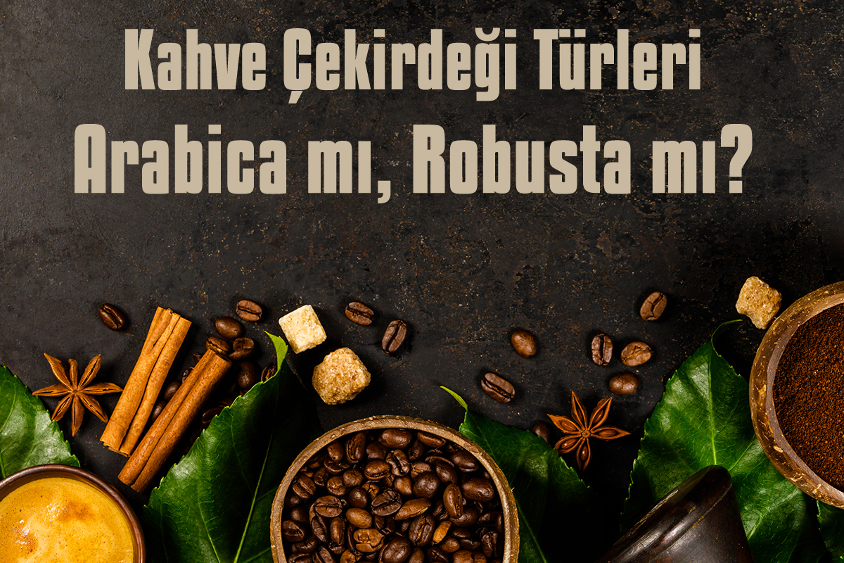 Kahve Çekirdeği Türleri: Arabica mı, Robusta mı?